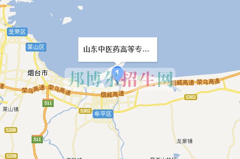 山東中醫(yī)藥高等?？茖W校