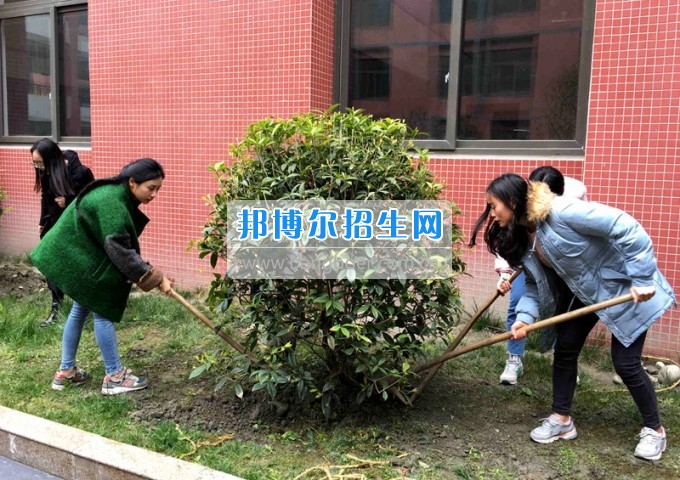 四川托普信息技術(shù)職業(yè)學(xué)院愛(ài)心植樹