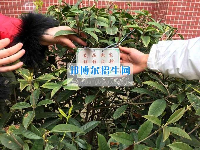 四川托普信息技術(shù)職業(yè)學(xué)院愛(ài)心植樹