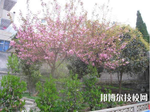嵐皋縣中等職業(yè)技術(shù)學(xué)校2020年有哪些專(zhuān)業(yè)