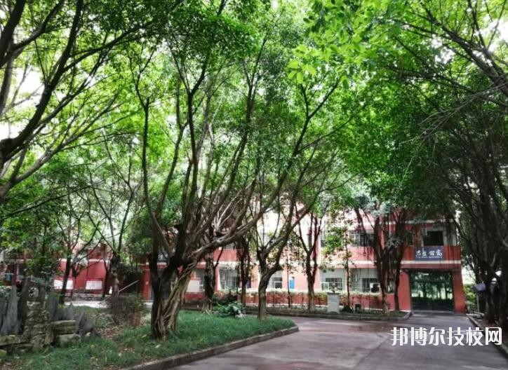 重慶舞蹈學校2020年報名條件、招生要求、招生對象