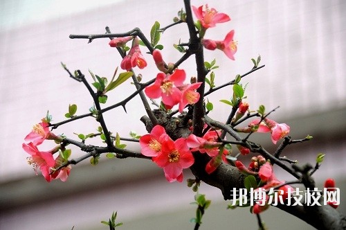 貴州廣播電影電視學校怎么樣、好不好