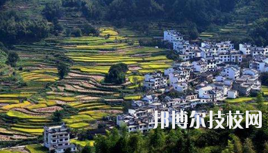 江西婺源茶葉學校2020年報名條件、招生要求、招生對象