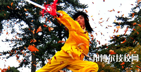 平?jīng)鲠轻嘉奈鋵W(xué)校2020年報(bào)名條件、招生要求、招生對(duì)象