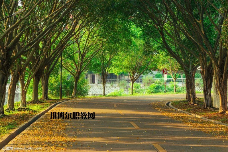 仙桃金園職業(yè)高級中學2020年報名條件、招生要求、招生對象