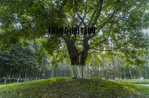 四川檔案學(xué)校2020年報名條件、招生要求、招生對象