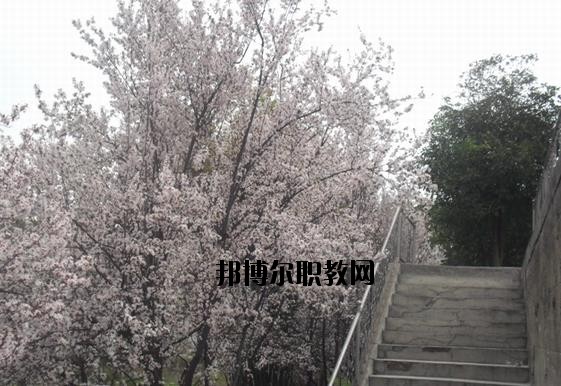 ?？德毥讨行膶W(xué)校網(wǎng)址網(wǎng)站
