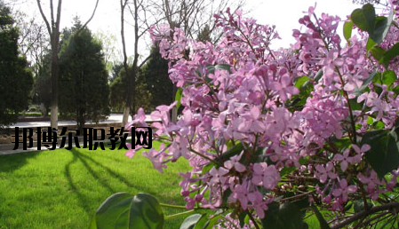 金川公司技工學(xué)校2020年報(bào)名條件、招生要求、招生對(duì)象