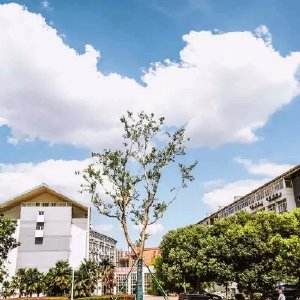 南京科技職業(yè)學(xué)院怎么樣、好不好