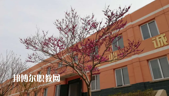 成縣化埡農(nóng)職業(yè)中學(xué)怎么樣、好不好
