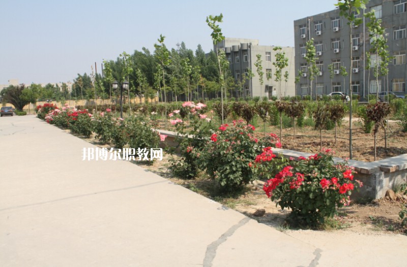 武強(qiáng)綜合職業(yè)技術(shù)教育中心2022年報(bào)名條件、招生要求、招生對(duì)象