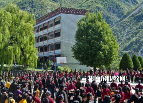 四川省藏文學(xué)校2022年報(bào)名條件、招生要求、招生對象