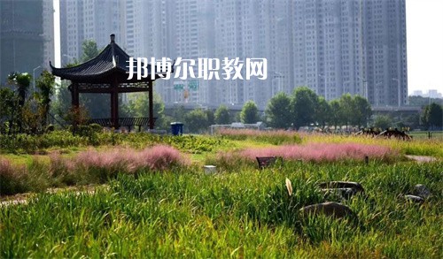 徐州生物工程職業(yè)技術(shù)學(xué)院中專部2022年報(bào)名條件、招生要求、招生對象