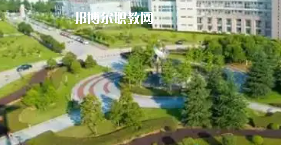 湖北高職?？圃盒Ｅ琶?0強