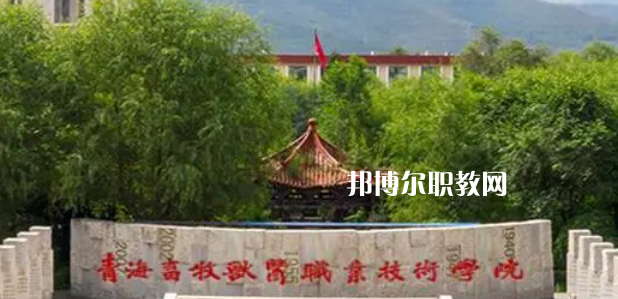 青海高職?？拼髮W(xué)2023年排名(文科)