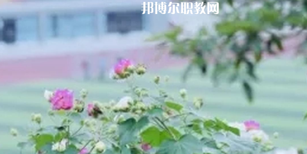 眉山技師學院地址在哪里，哪個地區(qū)，哪個城市?