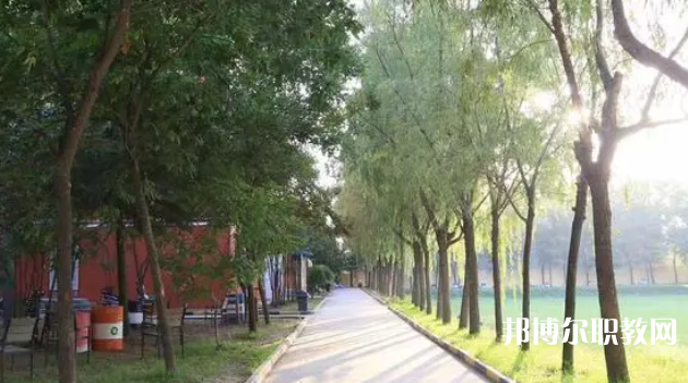 2023西安大中科技技工學(xué)校招生計(jì)劃 招生人數(shù)是多少(附要求、條件、對象)