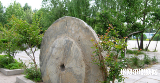 野風(fēng)美術(shù)中學(xué)怎么樣、好不好