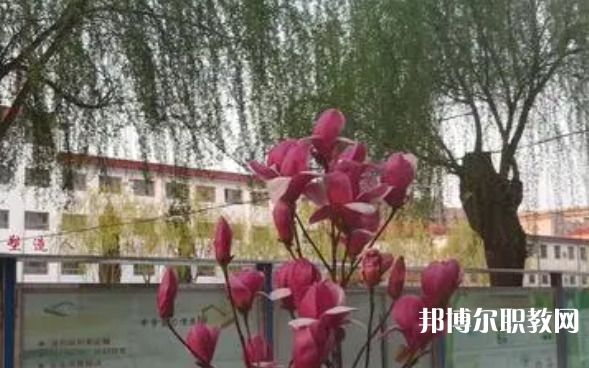 2023柏鄉(xiāng)縣職教中心招生計劃 招生人數(shù)是多少(附要求、條件、對象)