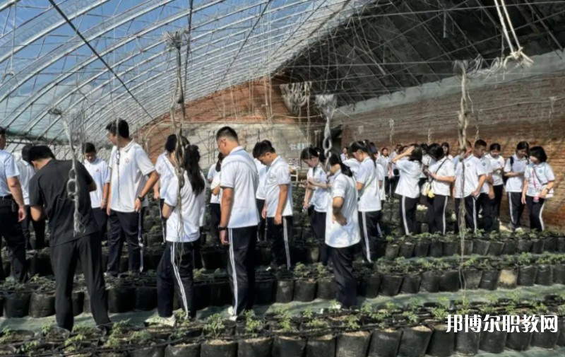 2024營口市農(nóng)業(yè)工程學(xué)校招生計(jì)劃 招生人數(shù)是多少(附要求、條件、對象)